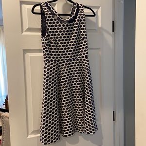 Pixley Navy & White fit and flare dress. Size Small.